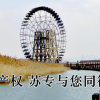 知識產(chǎn)權(quán)
